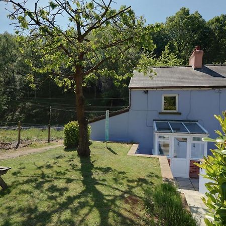 Lilac Cottage Parkend Экстерьер фото